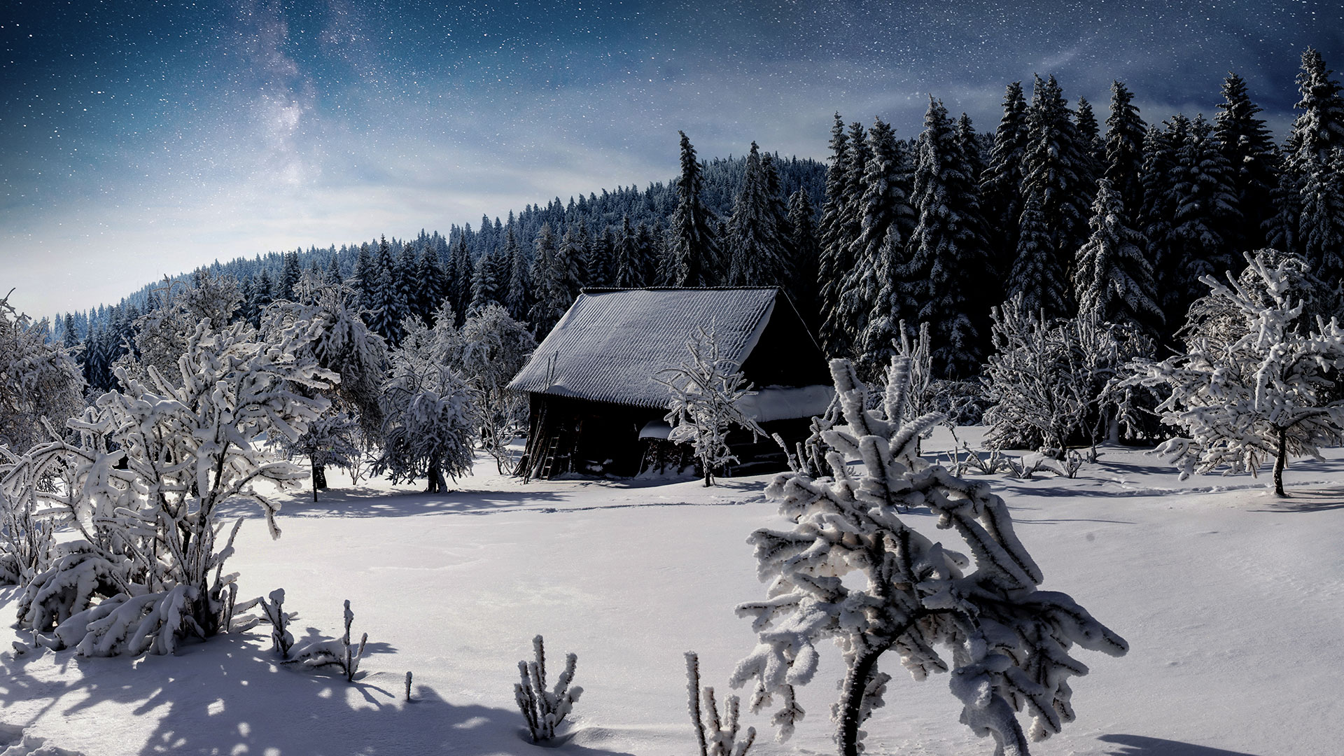 Stabilt internet till stugan – även när det är kallt och långt från stan.